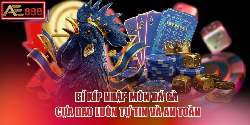 Bí kíp nhập môn đá gà cựa dao luôn tự tin và an toàn